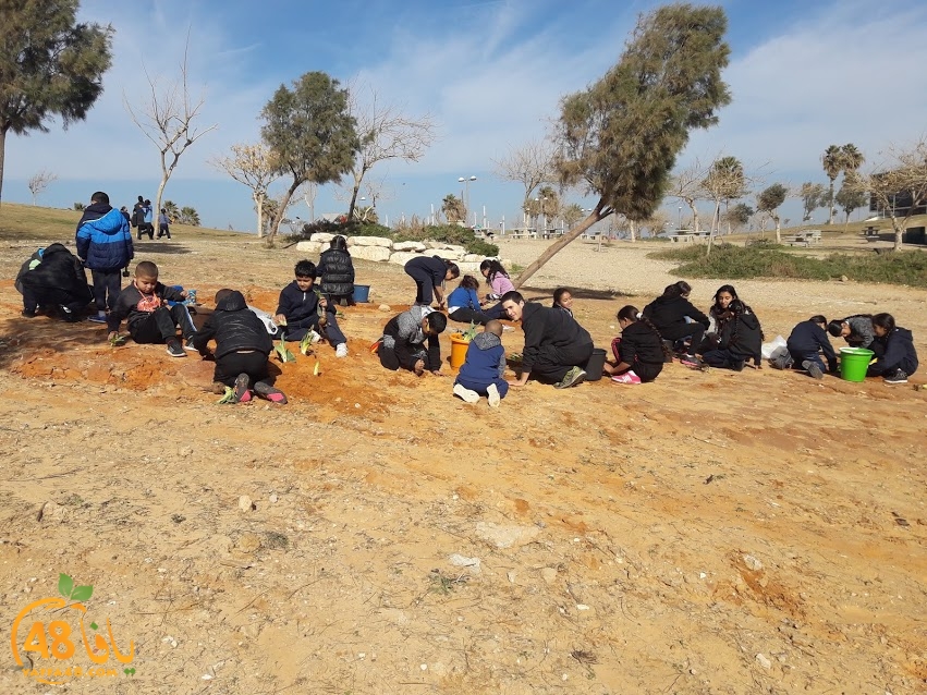 zr3 7san 3arafa (23).jpg